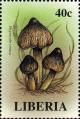 Colnect-3132-150-Hygrocybe-conica.jpg