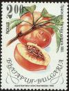 Colnect-4413-056-Peach---Persica-vulgaris.jpg