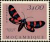 Colnect-4563-983-Moth-Arniocera-ericata.jpg