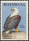 Colnect-597-713-African-Fish-Eagle-Haliaeetus-vocifer.jpg