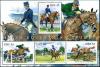 Colnect-6078-425-Irish-Equestrian-Sports.jpg