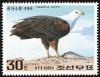 Colnect-723-054-African-Fish-Eagle-Haliaeetus-vocifer.jpg