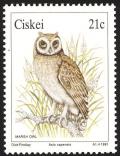Colnect-1456-708-Marsh-Owl-Asio-capensis-.jpg