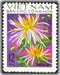 Colnect-1625-650--bach-Mi--Chrysanthemum.jpg