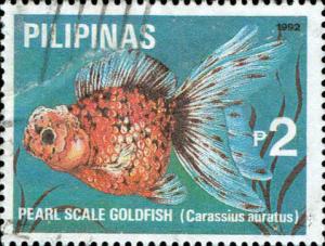 Colnect-2959-132-Pearlscale-Goldfish-Carassius-gibelio-forma-auratus.jpg