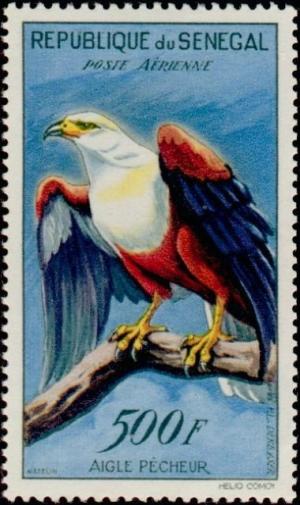 Colnect-504-443-African-Fish-eagle-Haliaeetus-vocifer.jpg