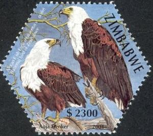 Colnect-554-101-African-Fish-eagle-Haliaeetus-vocifer.jpg