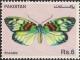 Colnect-2058-355-Moth-Erasmia-pulchella.jpg