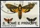 Colnect-4741-807-Death-s-head-Hawk-moth-Acherontia-atropos-Six-Spot-Burnet.jpg