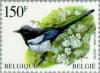 Colnect-187-228-Eurasian-Magpie-Pica-pica.jpg