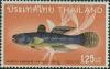 Colnect-1888-785-Queen-of-Siam-Goby-Vaimosa-rambaiae-.jpg