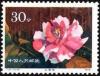 Colnect-3653-009-Hybrid-Camellias-from-the-Yunnan-Province.jpg