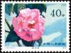 Colnect-3653-010-Hybrid-Camellias-from-the-Yunnan-Province.jpg
