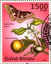 Colnect-3739-587-Silk-Moth-Rothschildia-aurota-Bitter-Orange-Citrus-auran.jpg