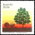 Colnect-2309-340-Brazilian-wild-chestnut-tree.jpg