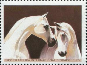 Colnect-5517-360-Grey-Arabian-Equus-ferus-caballus.jpg