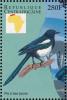 Colnect-4383-437-Eurasian-Magpie-Pica-pica.jpg