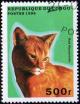 Colnect-2053-544-Red-Abyssinian-Felis-silvestris-catus.jpg