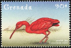 Colnect-4592-810-Scarlet-Ibis----Eudocimus-ruber.jpg