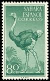 Colnect-1399-271-Ostrich-Struthio-camelus.jpg