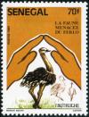 Colnect-1984-728-Ostrich-Struthio-camelus.jpg