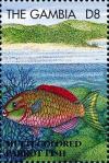 Colnect-4686-065-Multicolored-parrot-fish.jpg