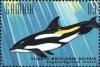 Colnect-4698-205-Atlantic-white-sided-dolphin.jpg