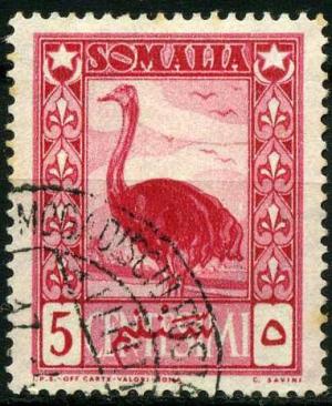 Colnect-1550-202-Somali-Ostrich-Struthio-molybdophanes.jpg