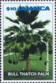 Colnect-3690-624-Sabal-jamaicensis---Bull-Thatch-palm.jpg
