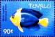 Colnect-4008-309-Bicolor-angelfish.jpg