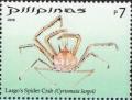 Colnect-2874-952-Largo--s-Spider-Crab-Cyrtomaia-largoi.jpg