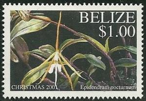 Colnect-1949-155-Epidendrum-nocturnum.jpg