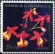 Colnect-2480-542-Epidendrum-radicans.jpg
