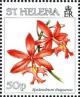Colnect-4468-886-Epidendrum-ibaguense.jpg