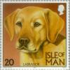 Colnect-125-085-Labrador-Retriever-Canis-lupus-familiaris.jpg