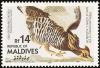 Colnect-1631-824-Greater-Prairie-Chicken-Tympanuchus-cupido.jpg