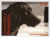 Colnect-3277-006-Labrador-Retriever-Canis-lupus-familiaris.jpg
