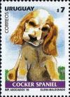 Colnect-491-739-Cocker-Spaniel-Canis-lupus-familiaris.jpg