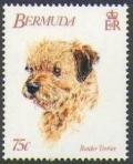 Colnect-1338-910-Border-Terrier-Canis-lupus-familiaris.jpg