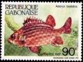 Colnect-2783-326-Red-Soldierfish-Adioryx-hastatus.jpg