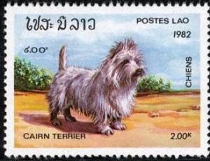 Colnect-1206-797-Cairn-Terrier-Canis-lupus-familiaris.jpg