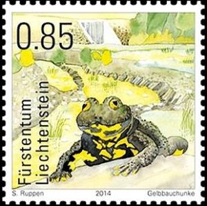 Colnect-2455-374-Yellow-bellied-Toad-Bombina-variegata-.jpg