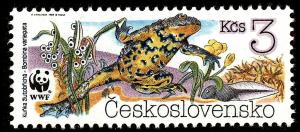 Colnect-3789-424-Yellow-bellied-Toad-Bombina-variegata.jpg