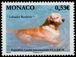 Colnect-4428-823-Labrador-Retriever-Canis-lupus-familiaris.jpg