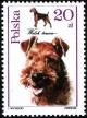 Colnect-1988-454-Welsh-Terrier-Canis-lupus-familiaris.jpg