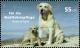 Colnect-5197-826-Labrador-Retriever-Canis-lupus-familiaris.jpg