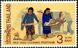 Colnect-5504-293-Rural-Life--Rice-seed-cleaning.jpg