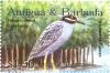 Colnect-3498-533-Yellow-crowned-Night-Heron%C2%A0Nyctanassa-violecea.jpg