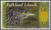 Colnect-3912-245-Falkland-Black-crowned-Night-heron-nbsp-Nycticorax-nycticorax-fa.jpg