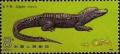 Colnect-487-281-Chinese-Alligator-Alligator-sinensis.jpg